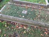 image of grave number 539197